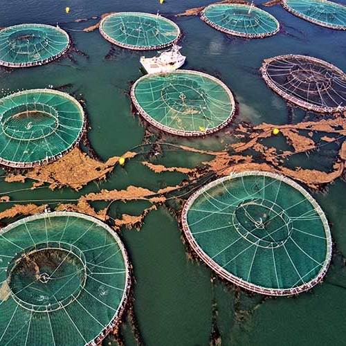 Fact Sheet: Five Sustainability Myths